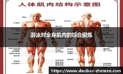 游泳对全身肌肉的综合锻炼